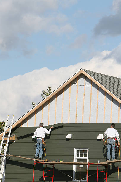 Best Custom Trim and Detailing for Siding  in Ragland, AL