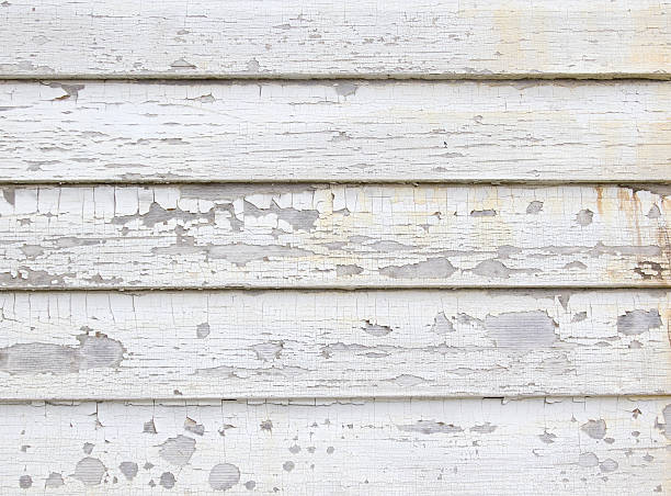 Best Siding Painting and Refinishing  in Ragland, AL