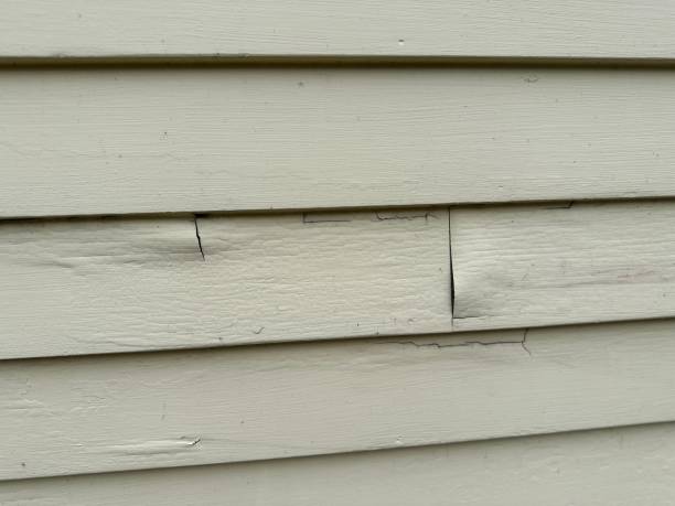 Best Fiber Cement Siding Installation  in Ragland, AL